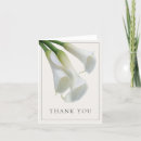 Search for white calla lily cards Floral