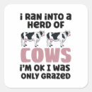 Search for sheep herding stickers Humour