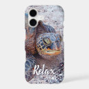 Search for turtle quotes Inspirational quote