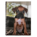 Search for boxer dog notebooks Cute