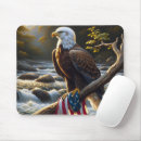 Search for american river electronics Flag