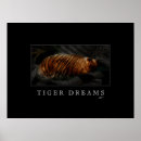 Search for cat dream posters Tiger