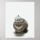 Search for glamour posters Animals