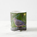 Search for mourning dove mugs Animals
