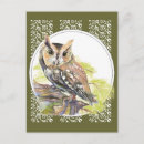Search for bird watcher postcards Birder