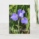 Search for iris birthday cards Nature