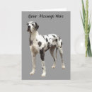 Search for great dane cards Puppies