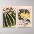 Search for leaf vegetable posters Botanical