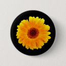 Search for orange blossom badges Floral