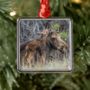 Search for calf christmas tree decorations Baby animals