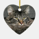 Search for maine coon cat christmas tree decorations Grey