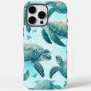 Search for sea shell cases Coastal