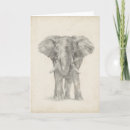 Search for animal sketch cards Drawing