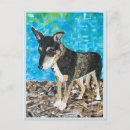 Search for kelpy postcards Animal