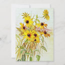 Search for black eyed susan Floral