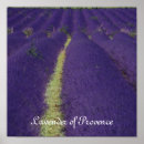 Search for lavender posters Colour