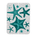 Search for starfish magnets Animals