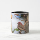 Search for finch mugs Animal