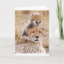 Search for cheetah cat cards Africa