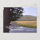Search for sixty two postcards Scripture