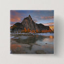 Search for cascade badges Nature