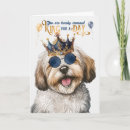 Search for havanese dog cards Dogs