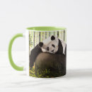 Search for panda and bamboo mugs Wildlife