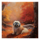 Search for lhasa posters Pet