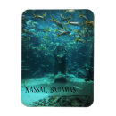 Search for nassau magnets Paradise