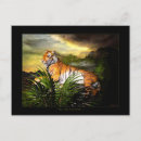 Search for mountain scenery postcards Jungle