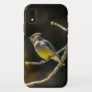 Search for wild bird iphone cases Photograph