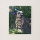 Search for bull terrier puzzles Animal