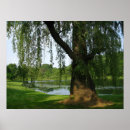 Search for weeping willow tree posters Summer