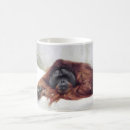 Search for primate mugs Monkey