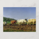 Search for oxen postcards Plough