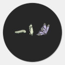 Search for caterpillar stickers Butterfly