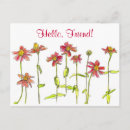 Search for zinnia flower postcards Zinnias