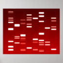 Search for dna posters Science