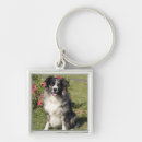 Search for collie lover key rings Puppy