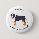 Search for cantons badges Bern