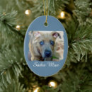 Search for pit bull christmas tree decorations Apbt