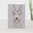 Search for picard postcards Dog