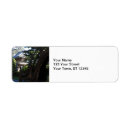 Search for san francisco return address labels Bridge