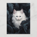 Search for fur postcards Illustration