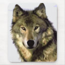 Search for wolf mousepads Wild animals
