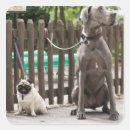 Search for great dane dog stickers Vertical