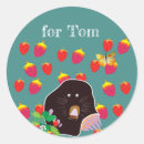 Search for wild strawberry stickers For kids