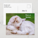 Search for baby kids postcards Farm