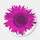 Search for fuchsia flower magnets White