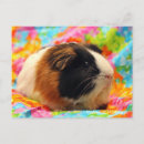 Search for cheap postcards Pretty